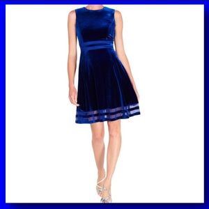 Calvin Klein Blue Velvet Fit & Flare Dress NWT